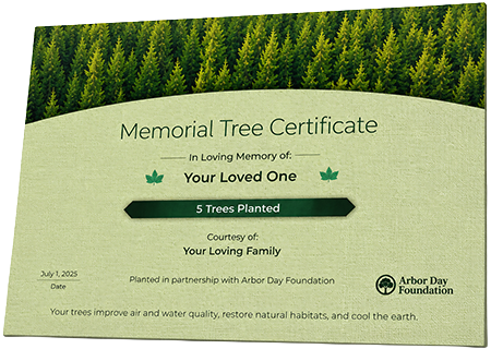 Plant Trees in Memory of Celestine McCrae